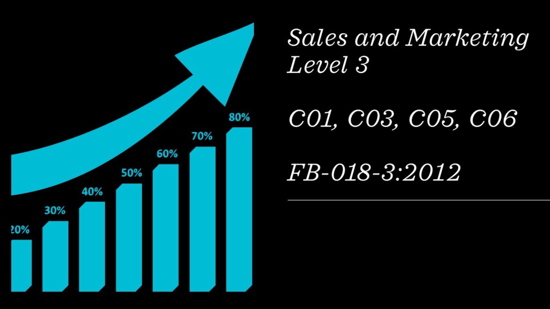 Sales Modular C01, C03, C05, C06 (CAR INSURANCE)